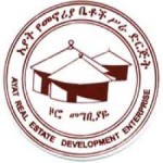 Ayalew founder and CEO of Ayat Village gets 12 years for legal violations