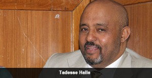 turkish companies in Ethiopia
