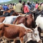 Can Technology Help Transform Agriculture in Ethiopia?