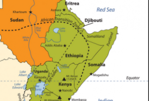 dgibuouti