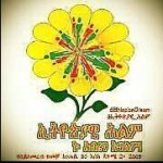Millions of Ethiopians share their dream for our country in the new year. What is your dream?