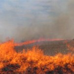 Ethiopia: Residents in Gambella set Indian-owned farm on fire