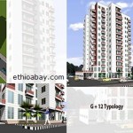 Construction of 40/60 Condos in Addis Ababa 33% completed