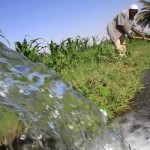 Ethiopia OKs 361 Saudi investment projects