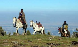 ethiopianhorse