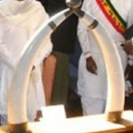 Thieves steal elephant tusks from D.C. city hall