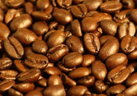 093c855c
