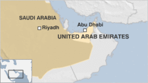 _64943602_uae_saudi1_1212