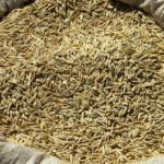 Injera, Hollywood’s new favourite food